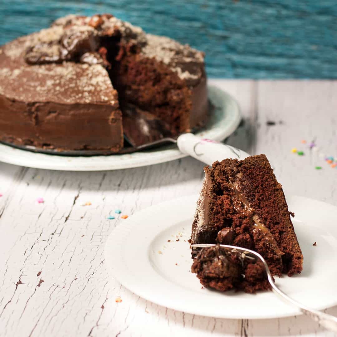 This Chocolate Fudge Cake is an easy recipe that's perfect for those "I MUST HAVE CHOCOLATE!" kinda days! Covered in yummy chocolate butter cream of course!