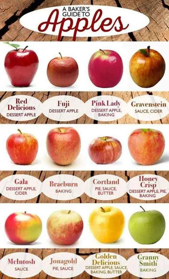 types of apple chart