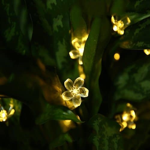 outdoor flower string lights shown within greenery at night