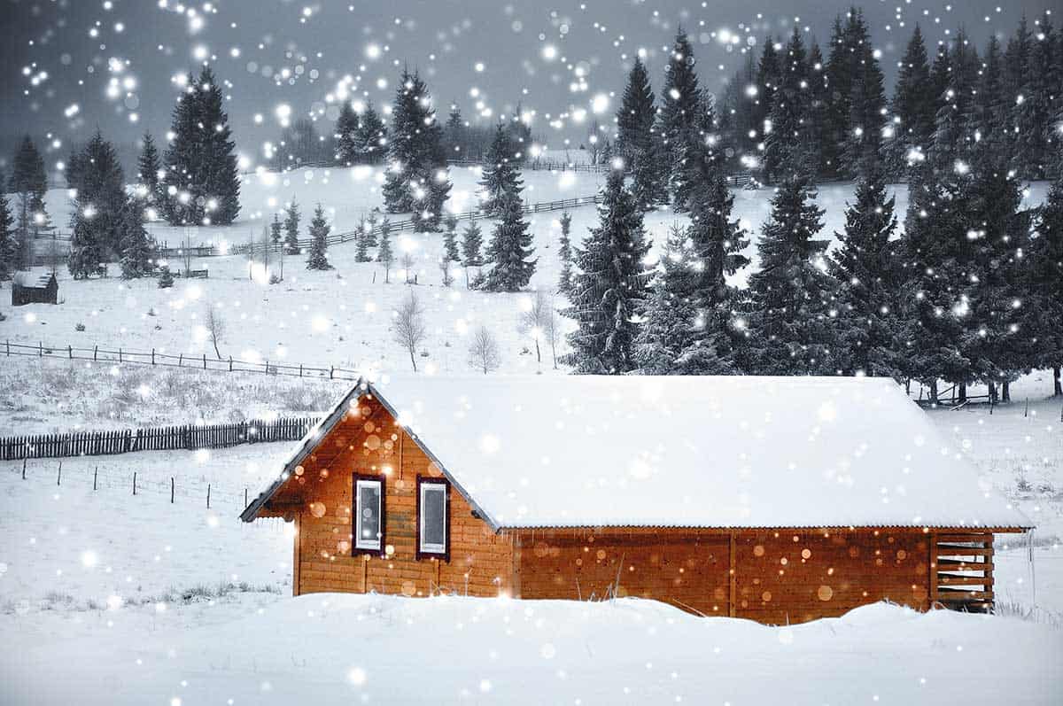 picture of cabin with snow on roof and snow falling fir trees in the background