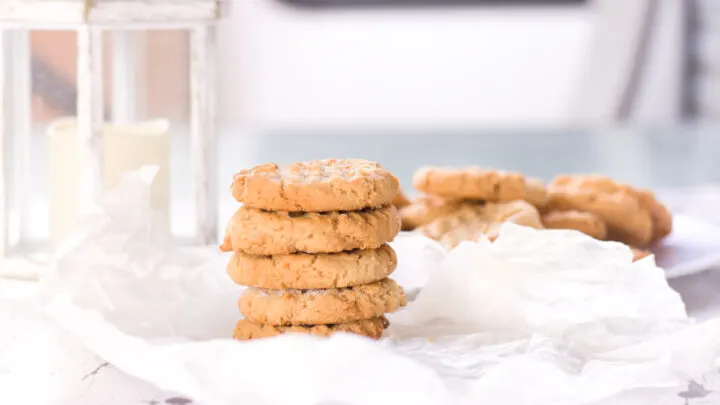 https://pieladybakes.com/wp-content/uploads/2021/06/stack-of-peanut-butter-cookies-made-without-brown-sugar-plate-of-cookies-in-background-720x405.jpg.webp