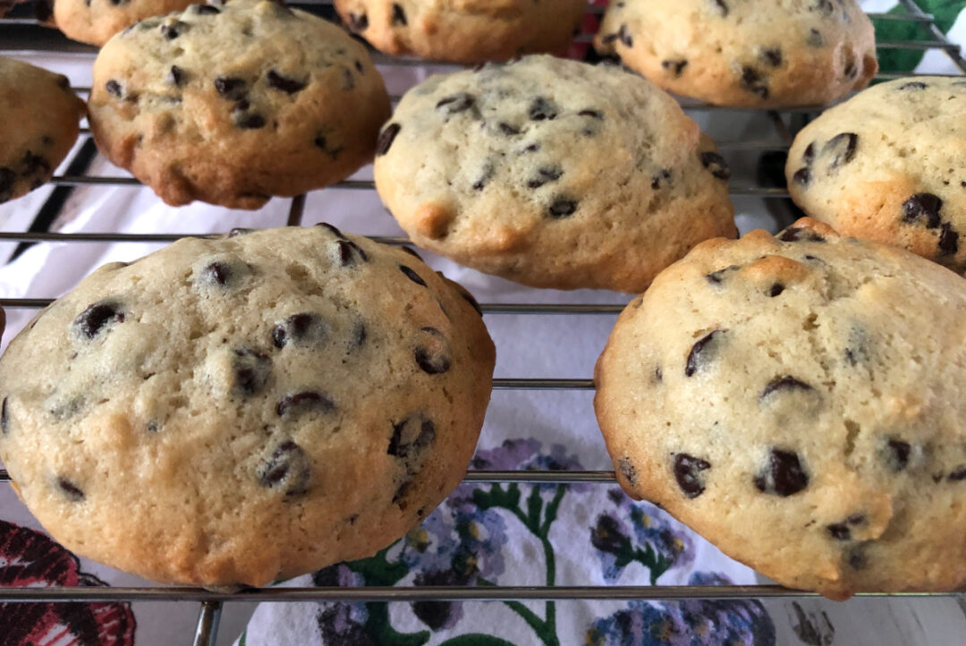 Panera Chocolate Chip Muffie Recipe Pie Lady Bakes