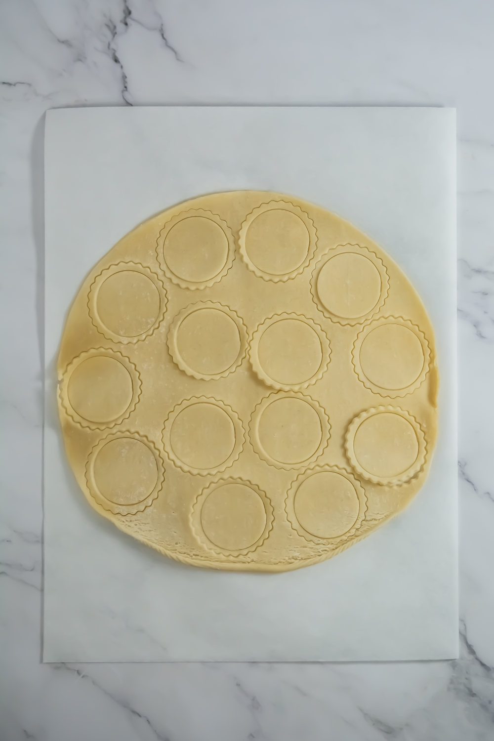 A sheet of round pastry dough with twelve scalloped circles cut out, placed on a piece of parchment paper on a marble surface.