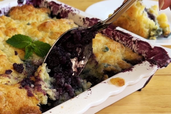 A spoon lifts a serving of blueberry cobbler from a white baking dish, showing golden-brown biscuit topping and purple filling. A sprig of mint garnishes the dessert.